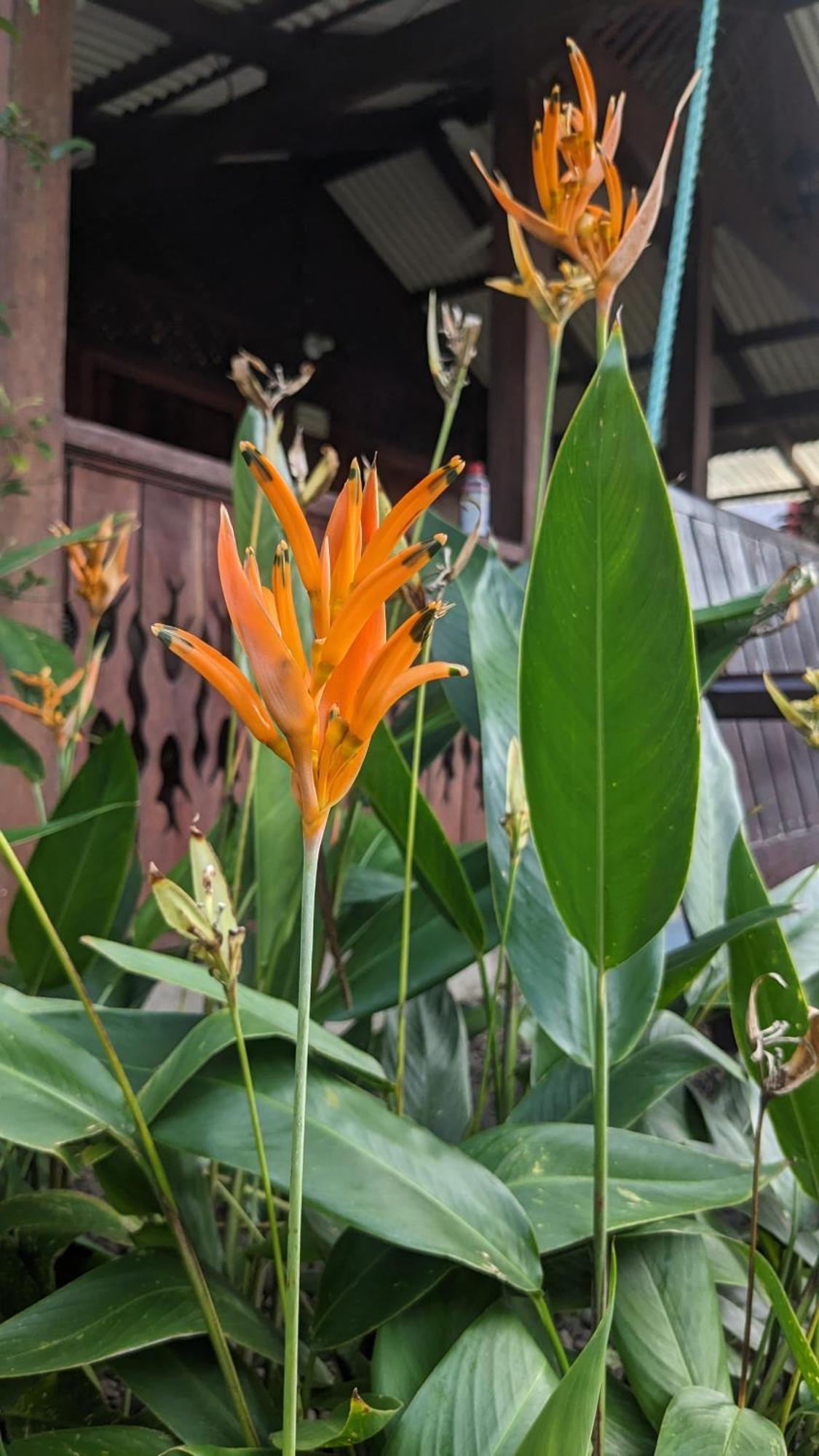 Casas Del Mar Villa มันซานีโย ภายนอก รูปภาพ